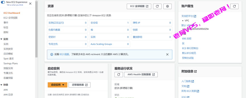 云枢国际-亚马逊云代理商:怎么启动AWS EC2?